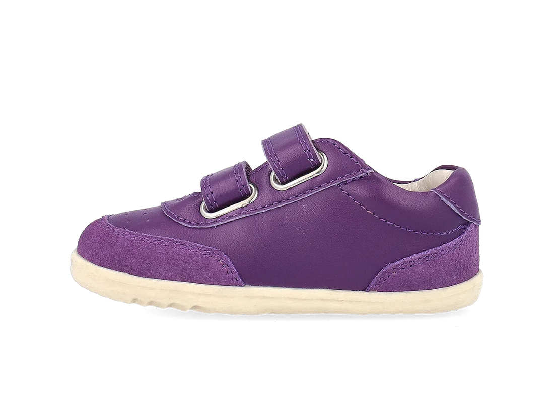 Step Up Champ (Purple)