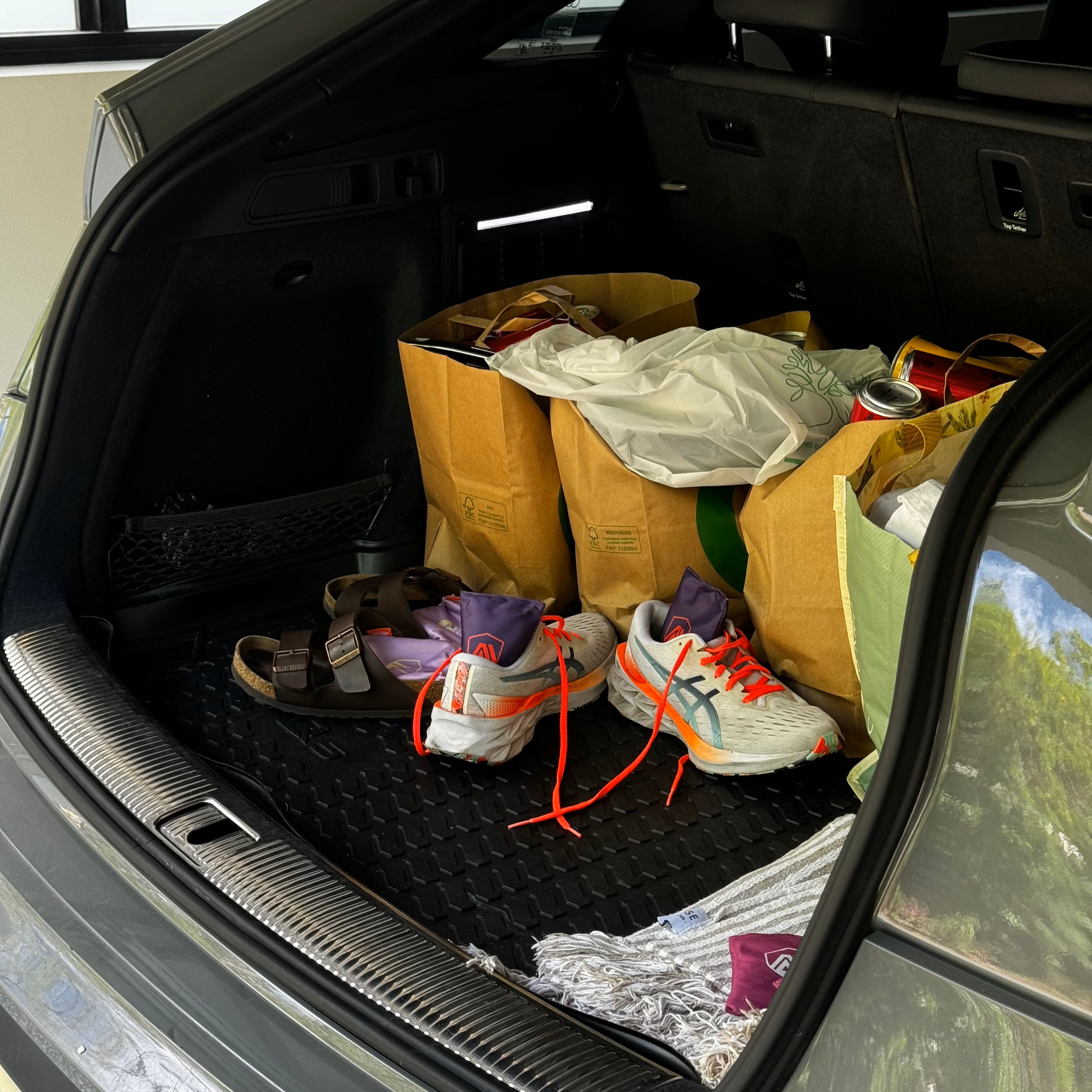 Aroma Armour Shoe Fresheners