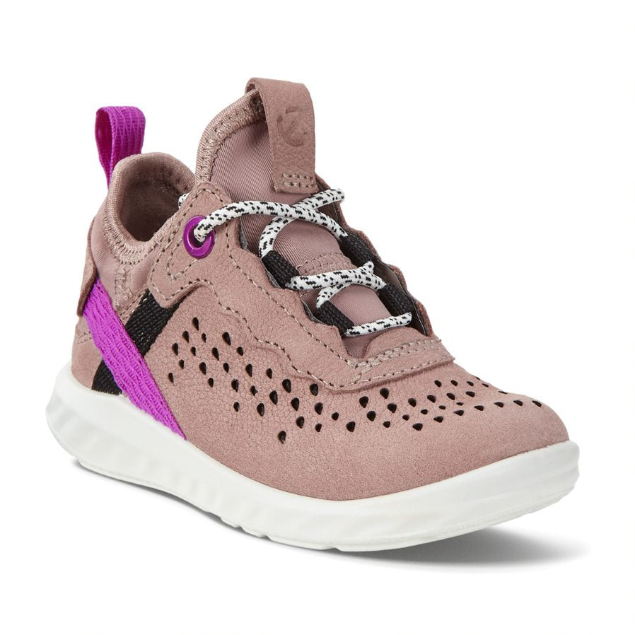 SP1 Lite (Woodrose/Purple)