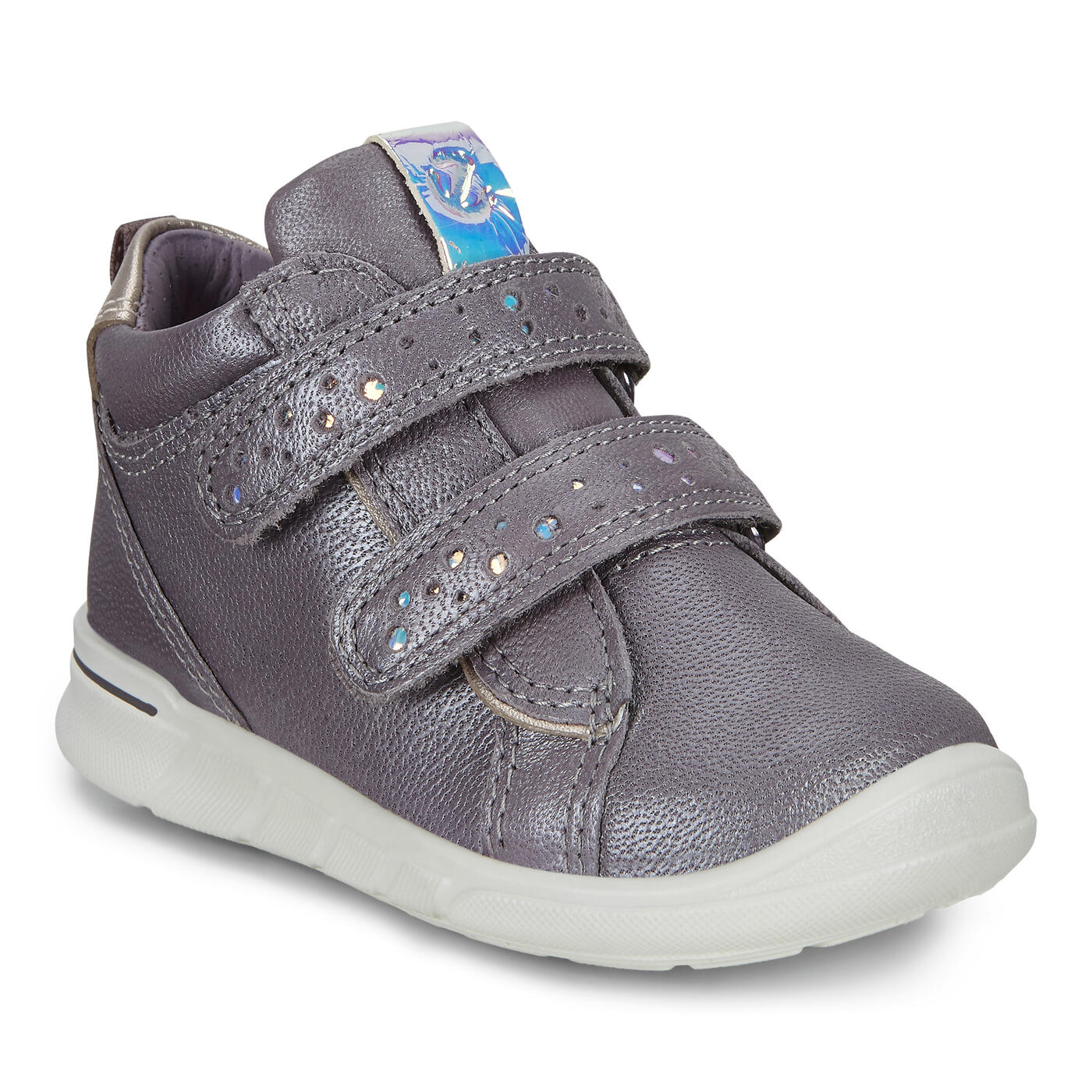 First Enclosed (Dusk/Chameleon)