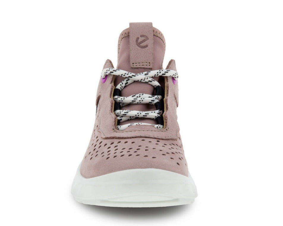 SP1 Lite K (Woodrose/Purple)