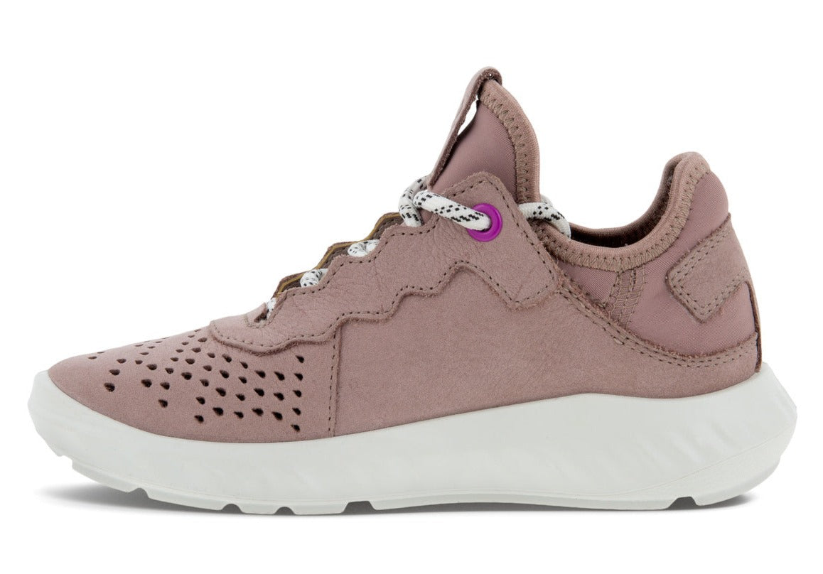 SP1 Lite K (Woodrose/Purple)