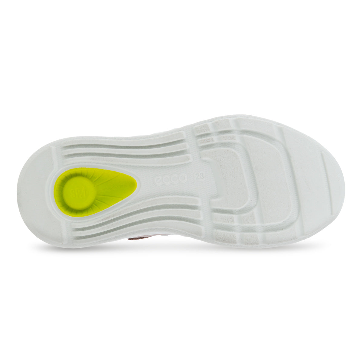 SP1 Lite K (Woodrose/Purple)