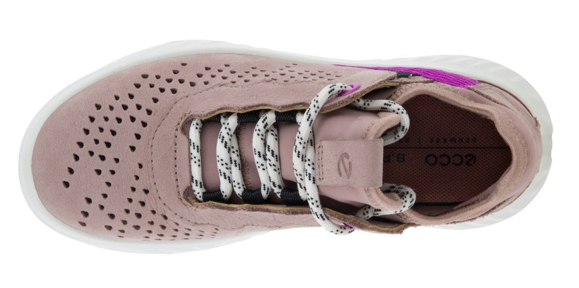 SP1 Lite K (Woodrose/Purple)