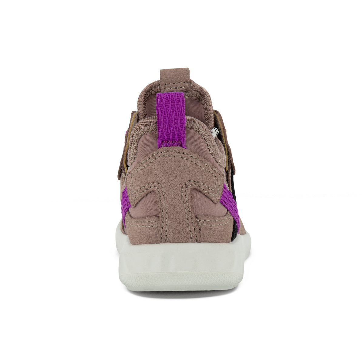 SP1 Lite (Woodrose/Purple)