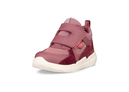Biom 2.2 Infant (Nocturne)