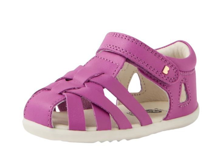 Step Up Tropicana 2 (Orchid)