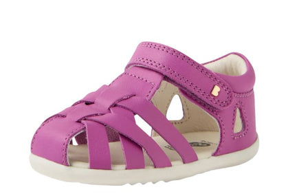 Step Up Tropicana 2 (Orchid)