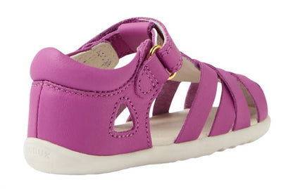 Step Up Tropicana 2 (Orchid)