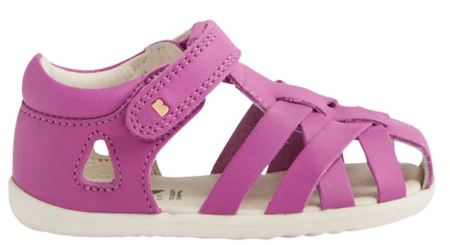 Step Up Tropicana 2 (Orchid)