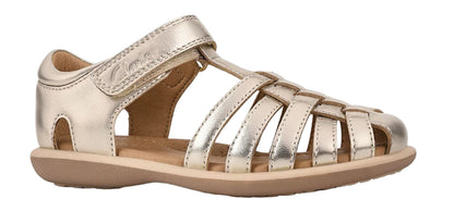 Phoebe Gold (Standard)