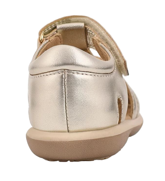 Phoebe Gold (Standard)