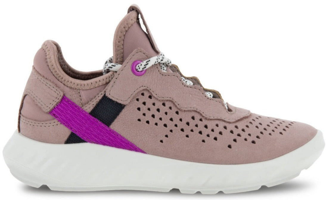 SP1 Lite K (Woodrose/Purple)