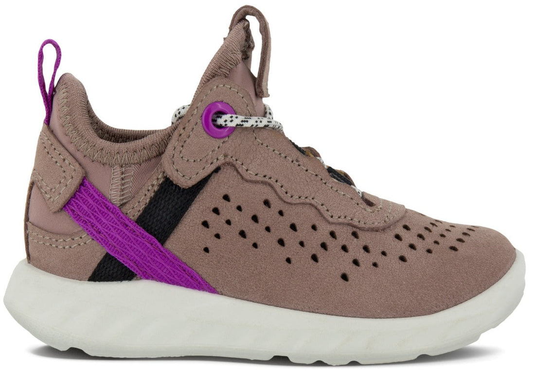 SP1 Lite (Woodrose/Purple)